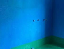 红原卫生间测漏水多少钱